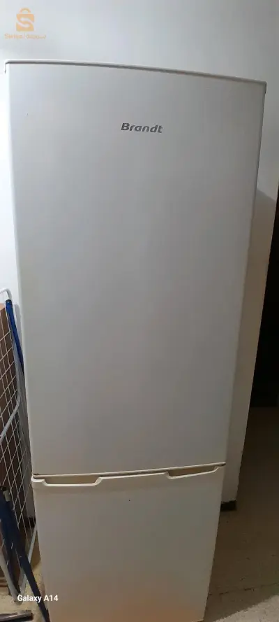 خصه الزوران تاع الكوجيلاتور يتبدل