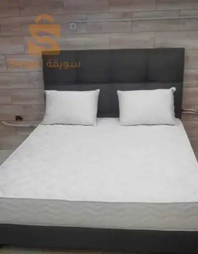 الجزائر الكاليتوس