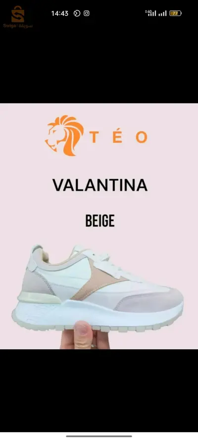 basket Valentina très bonne qualité importation hadja top