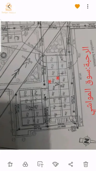 قرب سوق المواشي