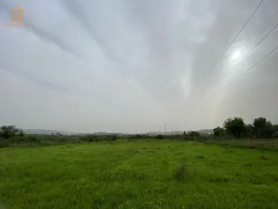 عين اغبال القل سكيكدة
