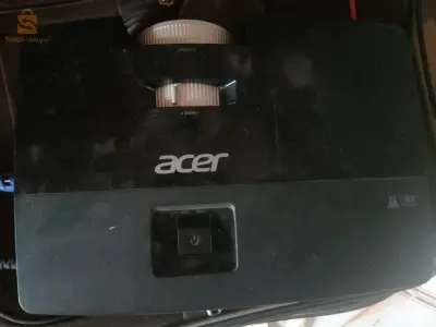 acer