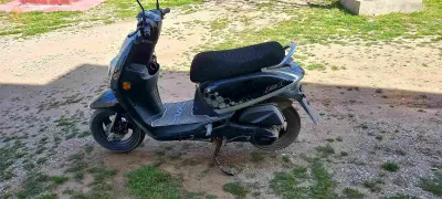 avndr