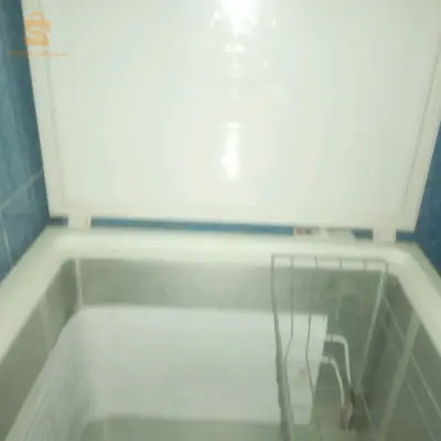 كونجيلاتور للبيع