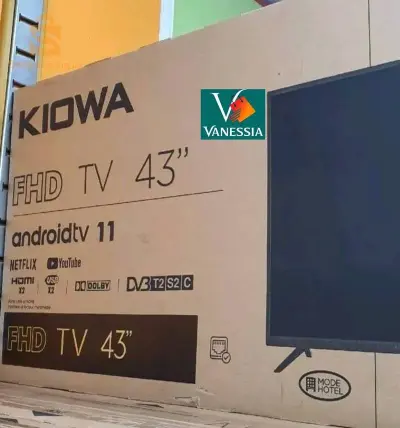 télévision