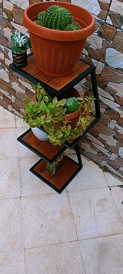 حامل نباتات