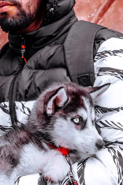 Haski