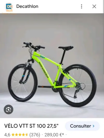 Rockrider st100