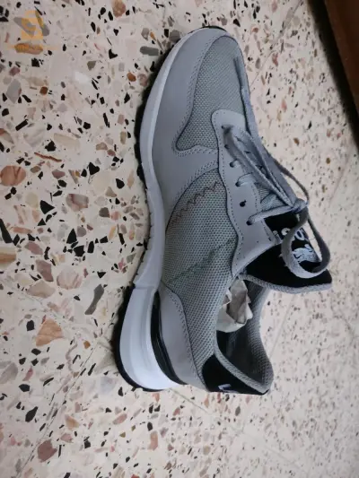 paladiom Lacoste