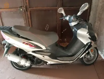 البيض