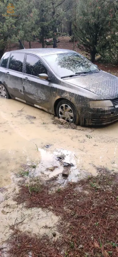 عين ببوش