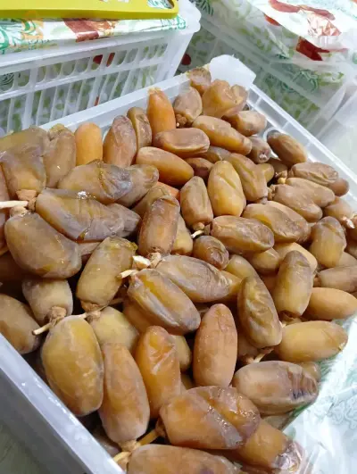 تمر