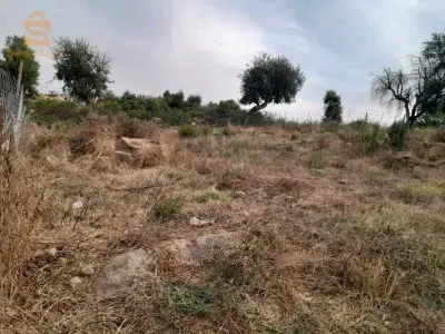 ولاية جيجل مدينة الميلية