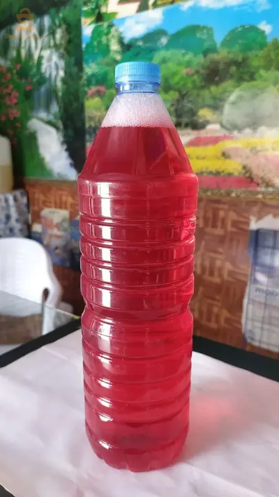 بلدية متوسة ولاية خنشلة