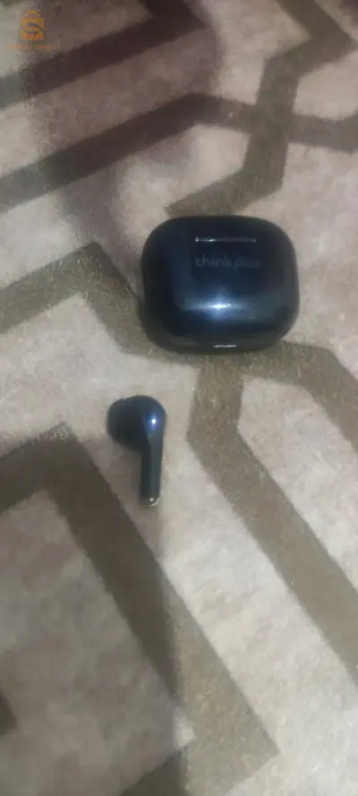 الجزائر