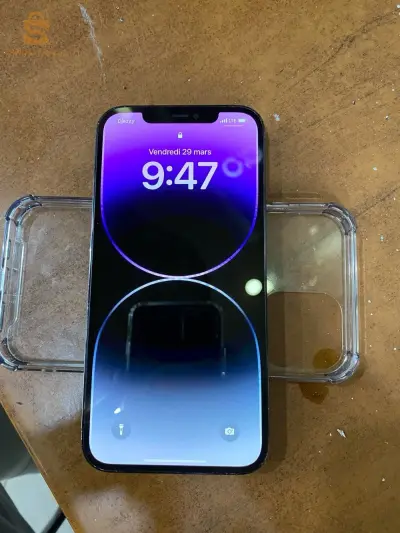 iPhone 12 Pro Max