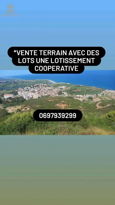 دلس