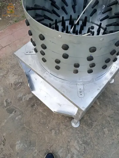 رياشة دجاج صنع جزائري