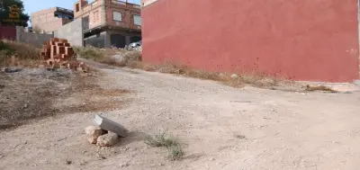تلمسان
