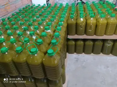 زيت زيتون