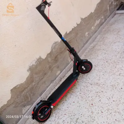 تروتينات للبيع