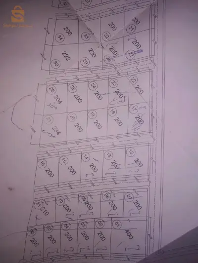 مسيلة حي بشيلقة