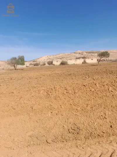 comin tlilat wilaya oran