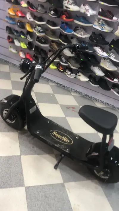 Woovway electric bike