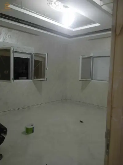 طلاء المنازل