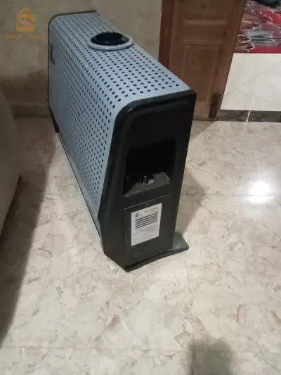 شلغوم العيد