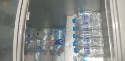الشلف