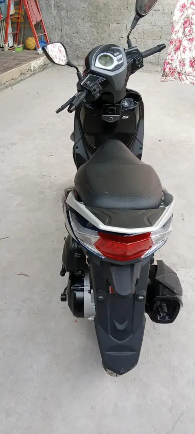 تيبازة