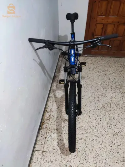 vilo Nakamura 10/10