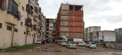 كاردوزو عنابة