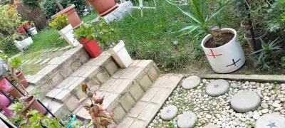 تهيئة و تجميل الحدائق بعنابة وماجاورها