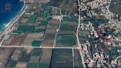 sidi daoud