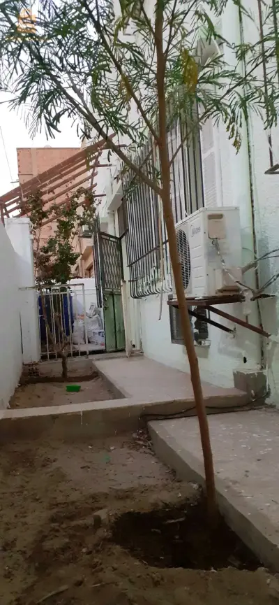 حي شاطوني
