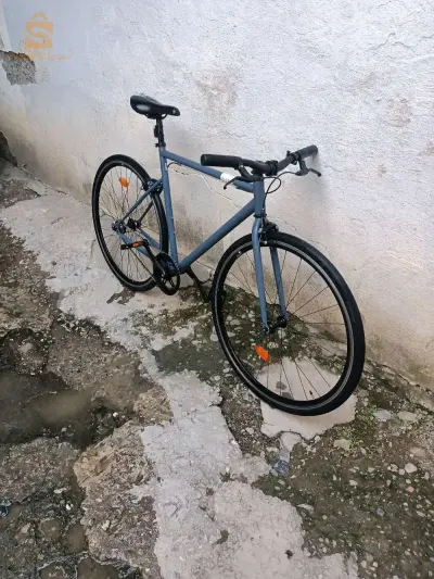 elops speed 500