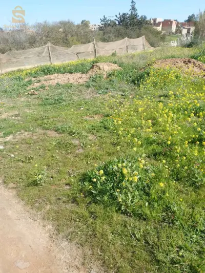بيع قطعة أرض في حاسي مماش رحايلية