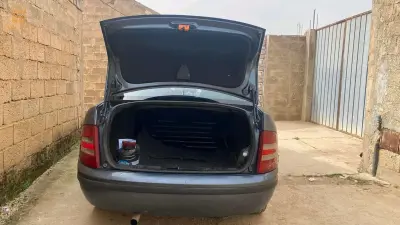 عين الدفلى