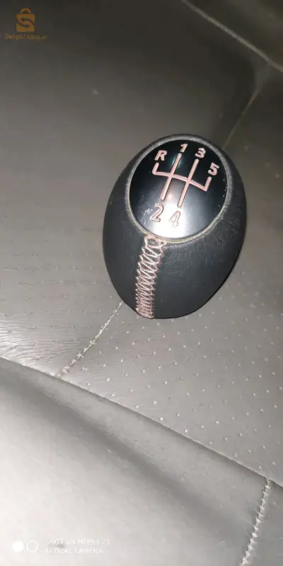 boulle de vitesse Renault