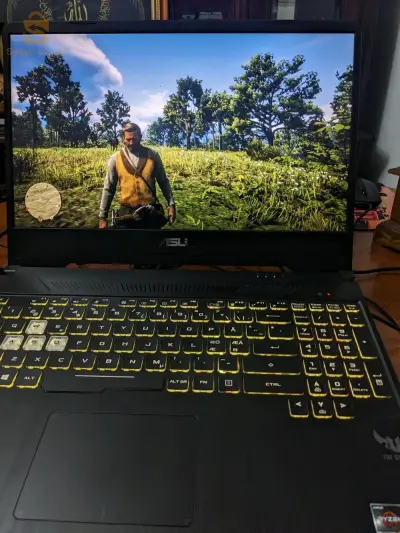 pc gamer, capable of running AAA's games, and FPS games also