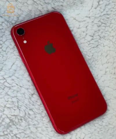 iPhone XR 10/10