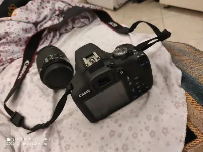 اولاد فايت
