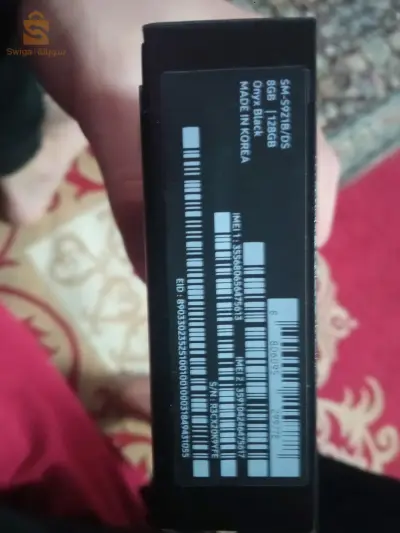 مستغانم