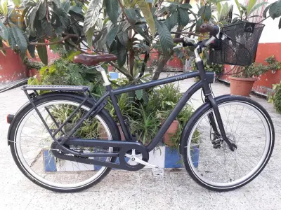 velo elops