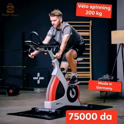 alger kouba