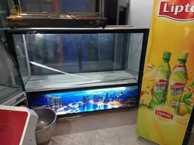 جديد البرود ڨارونتي