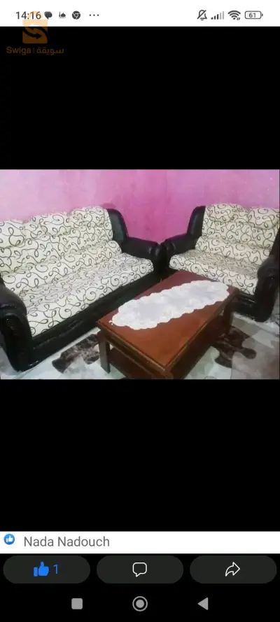شلف شطية