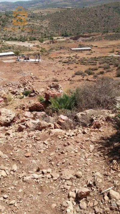 بوجليدة حي عبد المومون بن علي